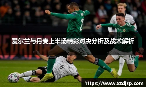 爱尔兰与丹麦上半场精彩对决分析及战术解析